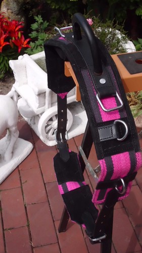 Longiergurt reithilfe mit - reithilfe,