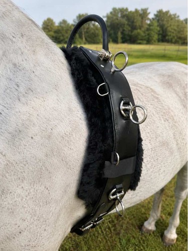 Weissl longiergurt leder - longiergurt, mit