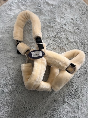 Busse halfter größe - halfter,,