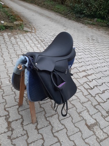 Wegen aufgabe des reitsports - wegen,