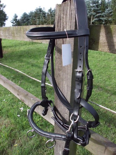 Eleganter kappzaum aus - eleganter, leder
