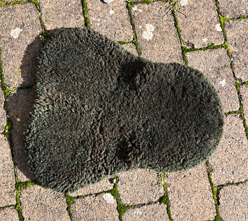 Mattes sattelsitzbezug - mattes,