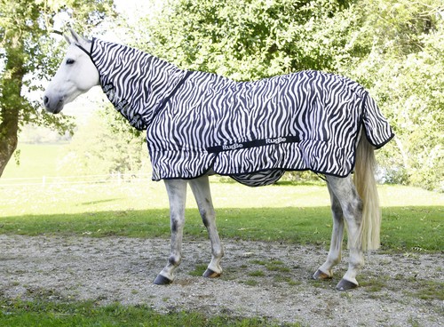 Zebra fliegen ekzemerdecken - zebra,