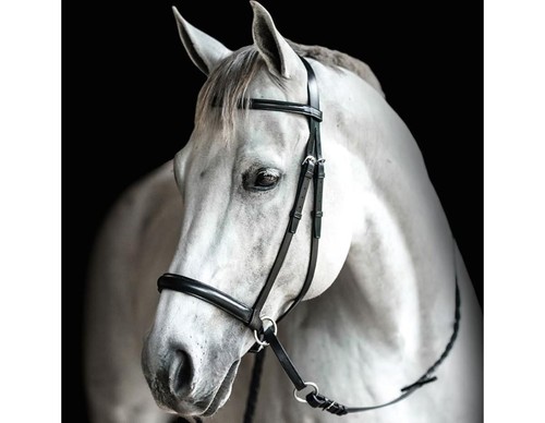 Bitless bridle leder pony - leder,