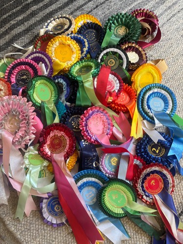 Vintage reitrosetten - vintage,