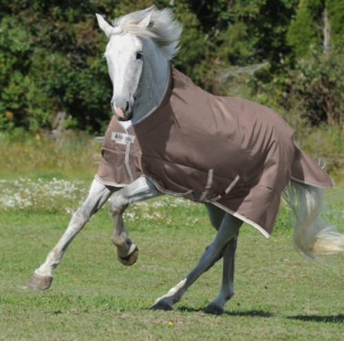 Bucas turnout light - light,,