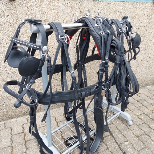 Top leder zweispänner - ,